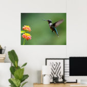 Summer Hummer Poster (Heimbüro)