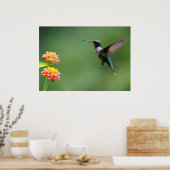 Summer Hummer Poster (Küche)