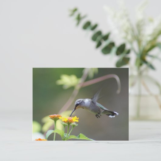 Summer Hummer Postkarte (Stehend Vorderseite)