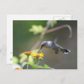 Summer Hummer Postkarte (Vorne/Hinten)