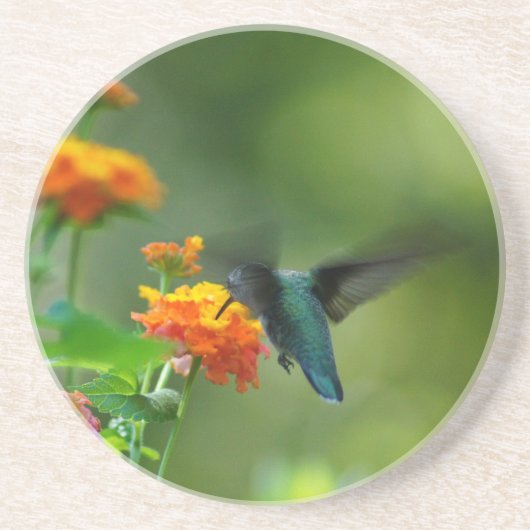 Summer Humming III Untersetzer (Vorne)