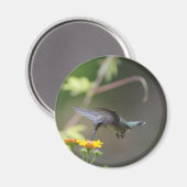 Summer Humming Magnet (Vorderseite/Rückseite)