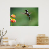 Summer Humming Poster (Küche)