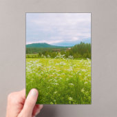 Summer in Hälsingland - Helsingia  Acryleinladungen (Insitu (Handheld))