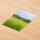 Summer in Hälsingland - Helsingia  Acryleinladungen (Ablage )