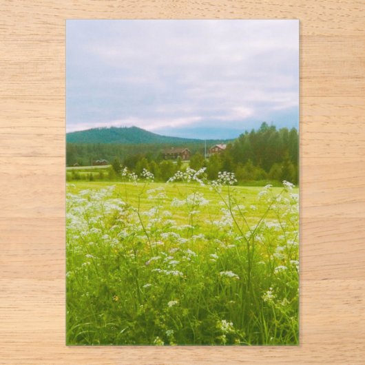 Summer in Hälsingland - Helsingia  Acryleinladungen (Vorderseite)