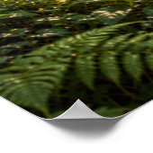 Summer in the Fourfold Forest Poster (Ecke)