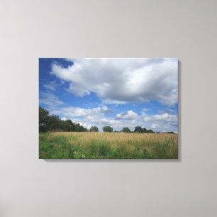 Summer Iowa Prairie Canvas Print Leinwanddruck