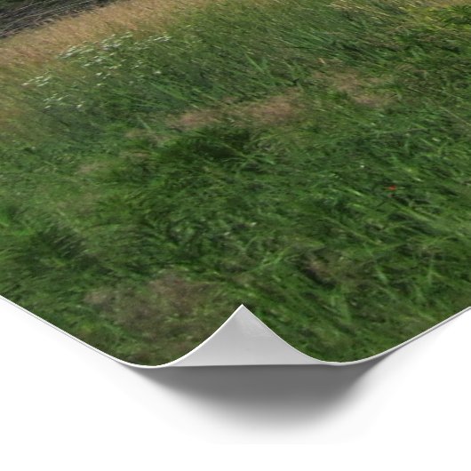 Summer Iowa Prairie Poster (Ecke)