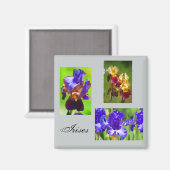 Summer Iris Magnet (Vorderseite/Rückseite)