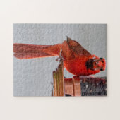 Summer Kardinal Puzzle (Horizontal)