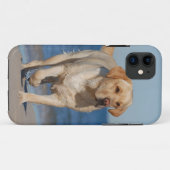 Summer Labrador Case-Mate iPhone Hülle (Rückseite (Horizontal))