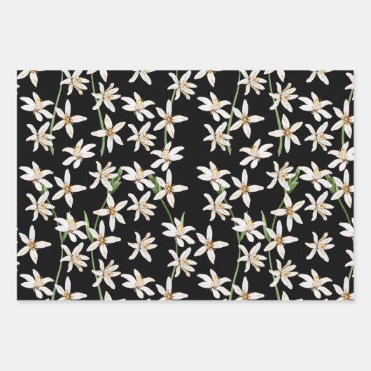 Summer Lemon Blütenmuster auf schwarz Geschenkpapier Set (Vorderseite 2)