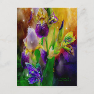 Summer Life Postcard Postkarte