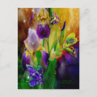 Summer Life Postcard Postkarte