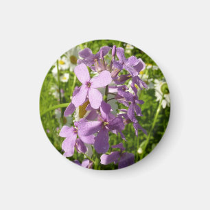 Summer Lilac und Daisies Magnet