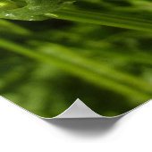 Summer Lilac und Daisies Poster (Ecke)