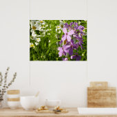 Summer Lilac und Daisies Poster (Küche)