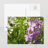 Summer Lilac und Daisies Postkarte (Vorne/Hinten)