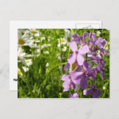 Summer Lilac und Daisies Postkarte (Vorne/Hinten)