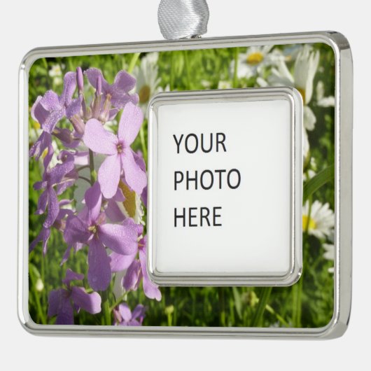 Summer Lilac und Daisies Rahmen-Ornament Silber (Links)