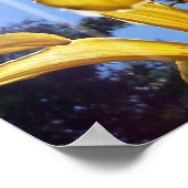Summer Lilies Serie 4 Poster (Ecke)