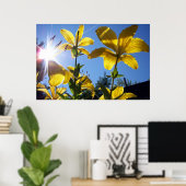 Summer Lilies Serie 4 Poster (Heimbüro)
