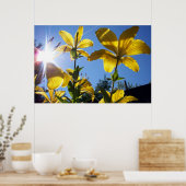 Summer Lilies Serie 4 Poster (Küche)