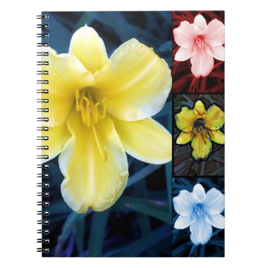Summer Lilly Notebook Notizblock (Vorderseite)