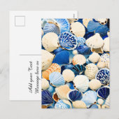 Summer Marine Seashells Feiertagspostkarte (Vorne/Hinten)