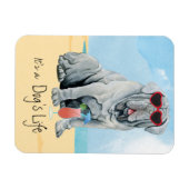 Summer Mastino Magnet (Horizontal)