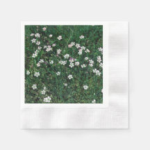 Summer Meadow Small White & Light Pink Wildblumen