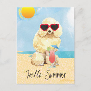Summer Miniatur Poodle Postkarte