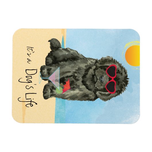 Summer Newfundland Magnet (Horizontal)