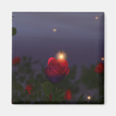 Summer Nightlights Magnet (Vorne)