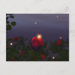 Summer Nightlights Postcard Postkarte