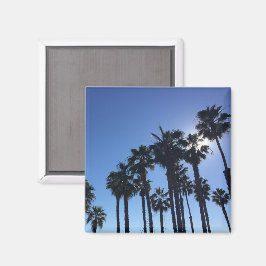 Summer Ocean Palms Blue Color Fotografy Magnet