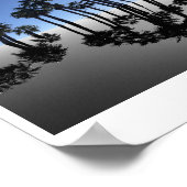 Summer Ocean Palms Reflection Photography Poster (Ecke)