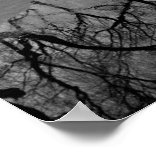 Summer Palace B&W Poster (Ecke)