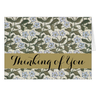 Summer Periwinkle Blume Hübsch Elegantes Flora