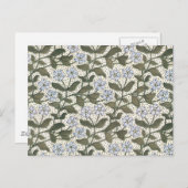 Summer Periwinkle Blume Hübsch Elegantes Flora Postkarte (Vorne/Hinten)