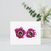 Summer Petunias Postkarte (Stehend Vorderseite)