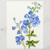 Summer Pflanze Sale delphinium Art Promo Flyer (Hinten)