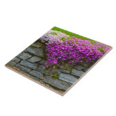 Summer Phlox Tile Fliese (Seite)