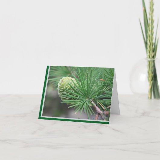 Summer Pine Cone Note Card Dankeskarte (Vorderseite)