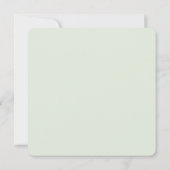 Summer pine forest path (Rückseite)