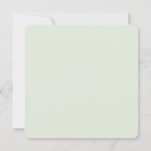 Summer pine forest path (Rückseite)