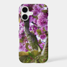 Summer Pink blühende Baumkrone Foto -