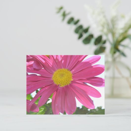 Summer Pink Blume Postkarte (Stehend Vorderseite)