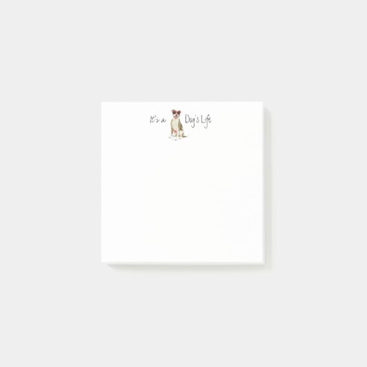 Summer Pit Bull Terrier Post-it Notes Klebezettel (Vorderseite)